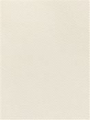 Hunt Club Eggshell Woven Golding Fabric